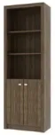 OFFICE CABINET WITH  02 DOORS-WALNUT